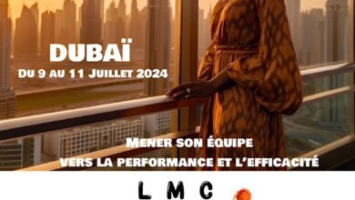 Photo de LMC CONSULTING : PERFORMANCE ET  EFFICACITE, SON COMBAT